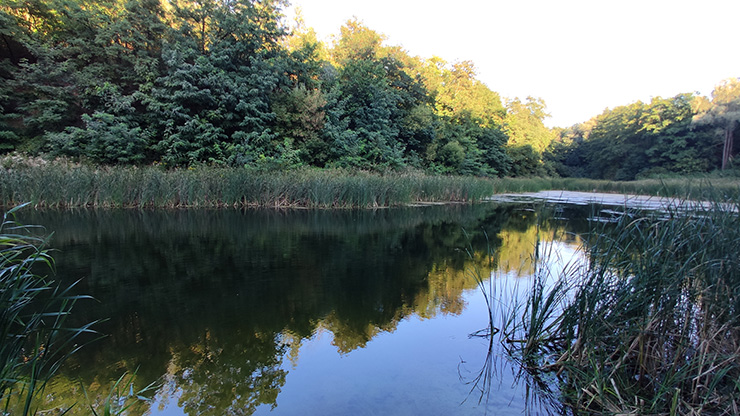 Озеро Рица (Стрелковое), Халепье