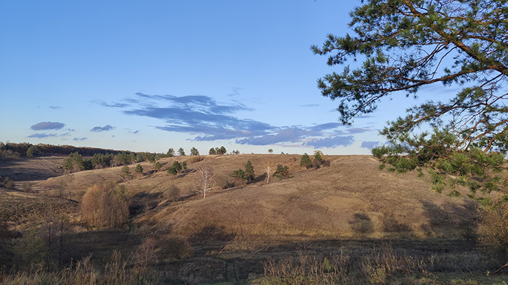 Васильковские Карпаты